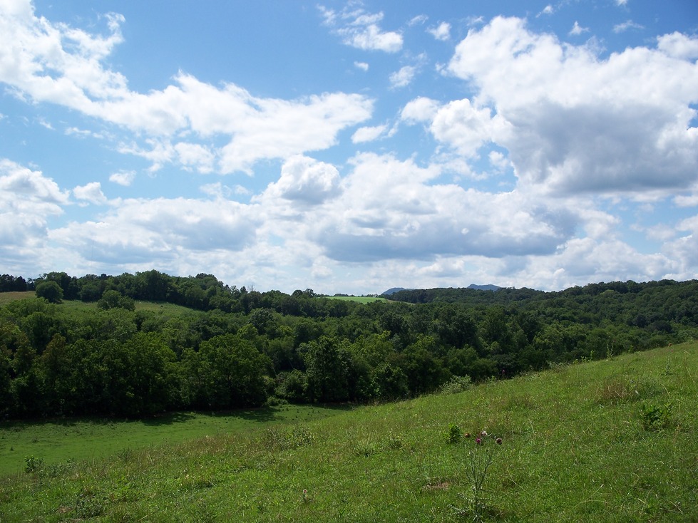 New Market, TN Hilltop view by Nance's Ferry photo, picture, image