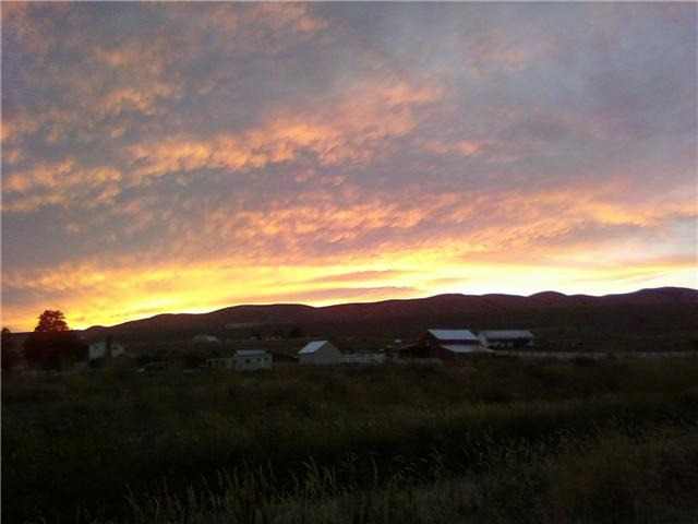 Garland, UT: walkin fair lambs while watchin the sunset over BR mountain