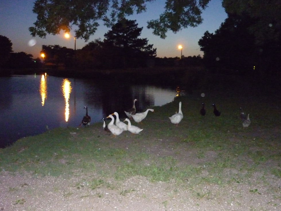 Wellington, KS: Donut Bay Wellington Kansas