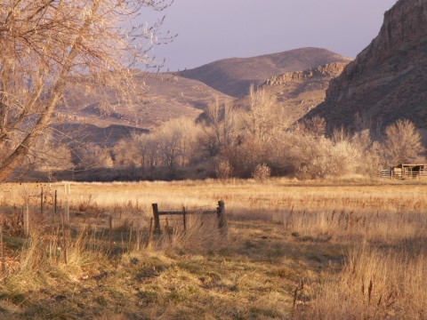 Laporte, CO: LaPorte Pasture