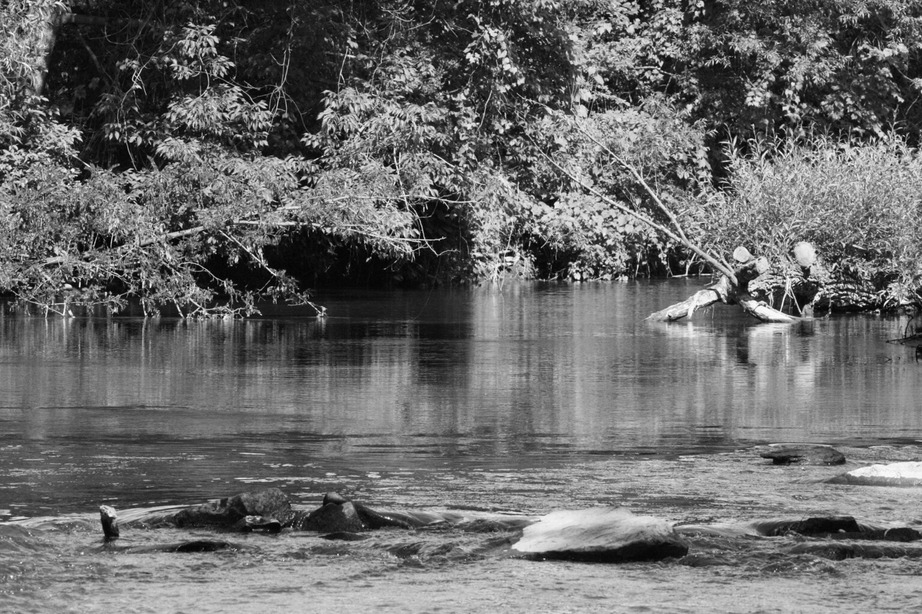 Darlington, PA : This is the creek outlining Darlington where alot of ...