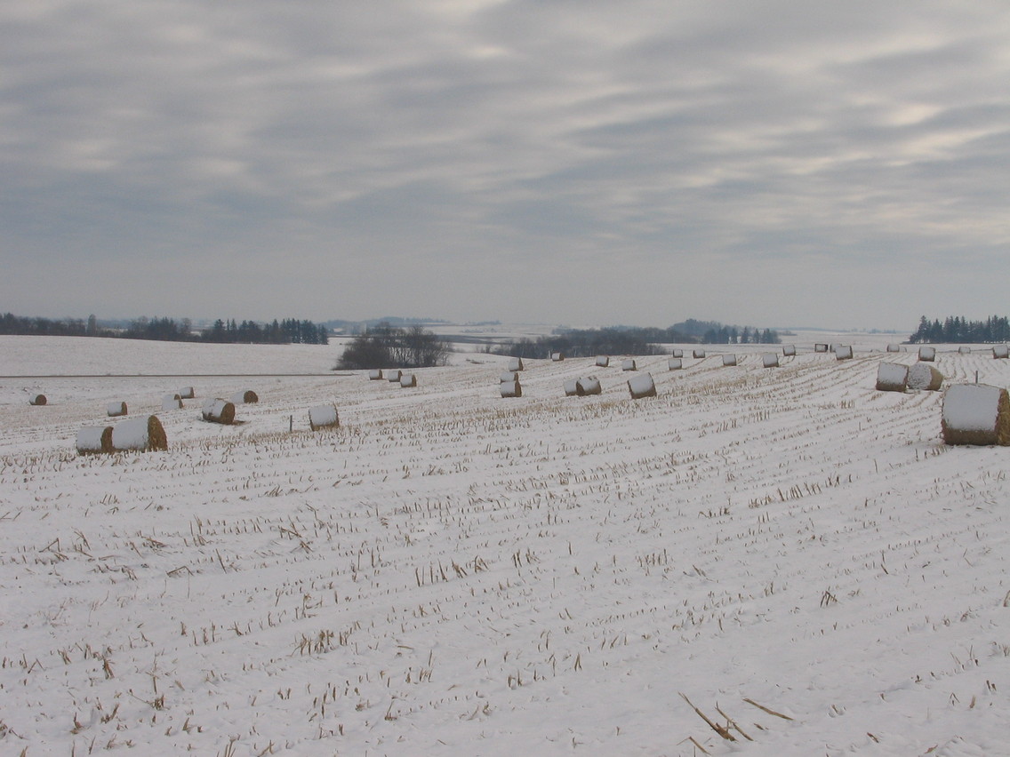 Monona, IA: bales of hay in the snow