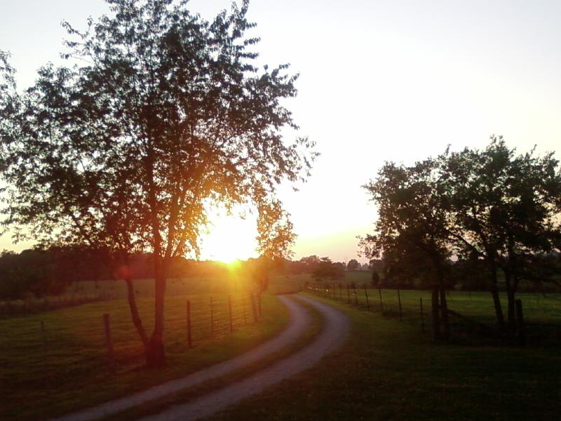 Flaherty, KY: this is a picture that was taken by me in my drive way when the sun was going down.. i though it was very pretty