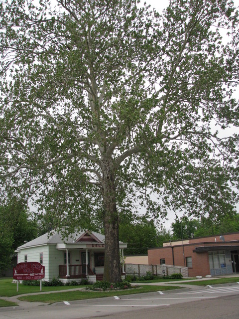 Central City, NE: Lone Tree Deli