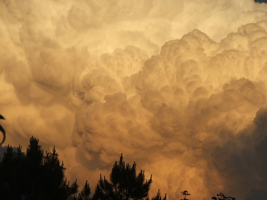 Westminster, CO: Summer strom clouds in Westminster