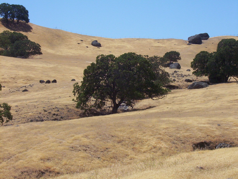 Vacaville, CA: This is a photograph of Vacaville's hills.