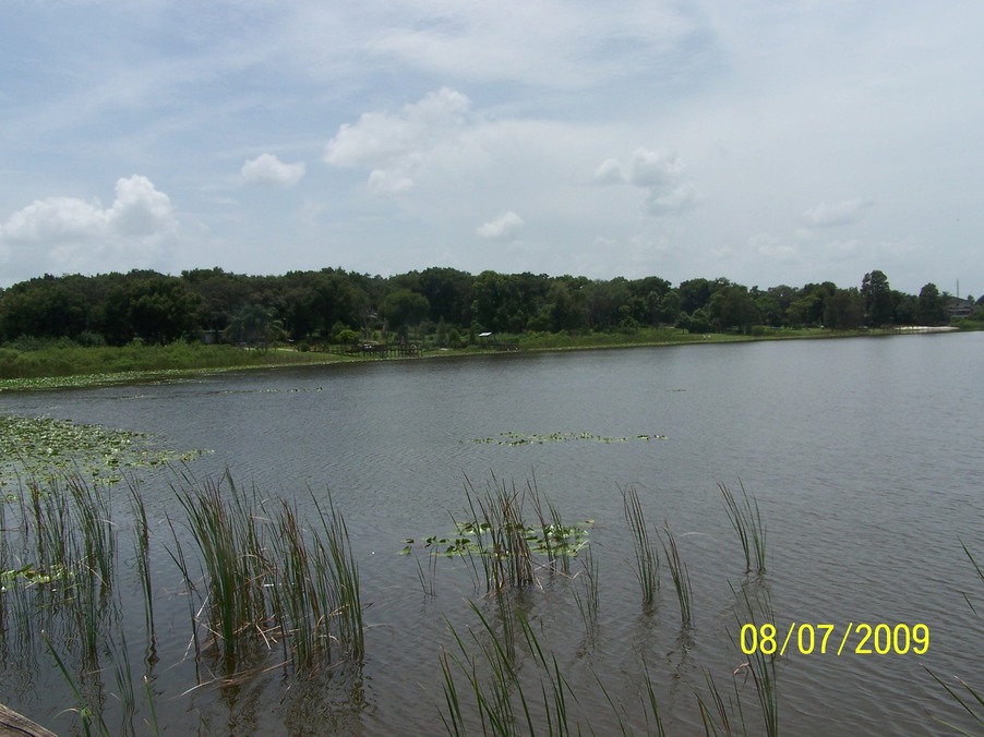 Lake Alfred, FL: Another view of Lake Swoope