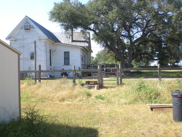 Buda, TX: Back of my home in Buda, Texas, just off FM 967.