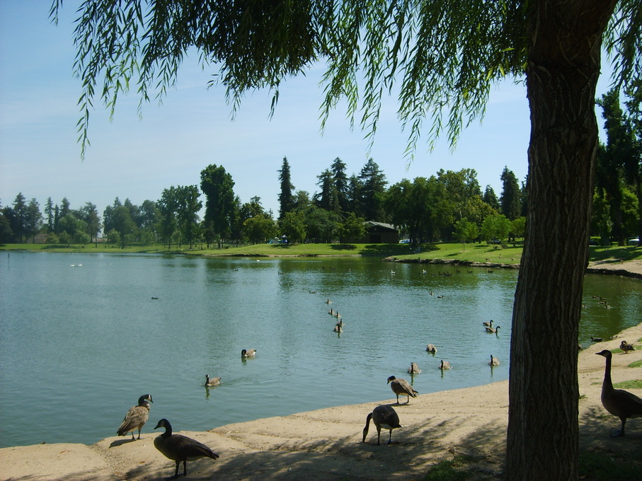 Turlock, CA: Donnelly Park