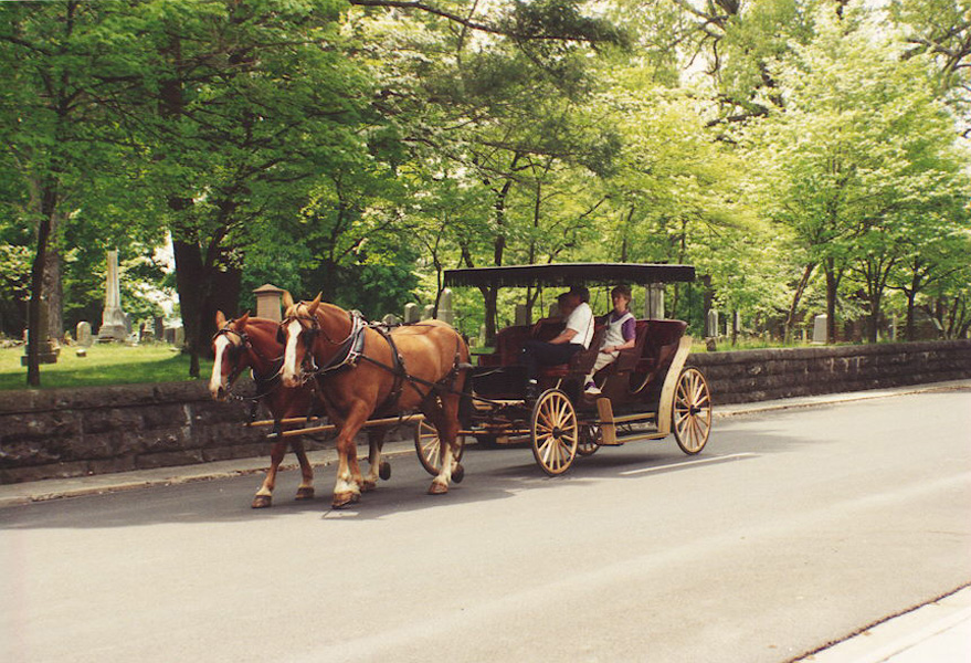 Lexington, VA: Lexington Historical Carriage Ride