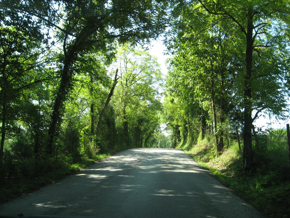 Ozark, MO: Driving through the back roads of Ozark!