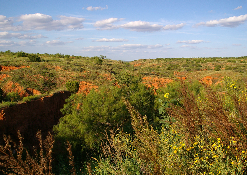 Jayton, TX: PUTOFF CANYON was used by Zane Grey for the setting for his novel The Thundering Herd (1925).