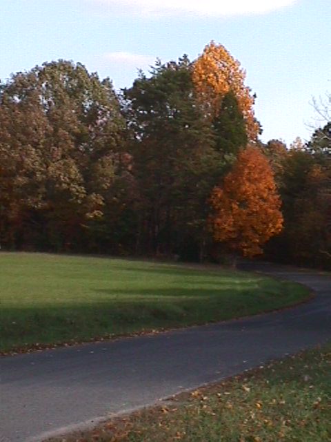 Louisa, VA: Fall Colors on Yanceyville Rd.