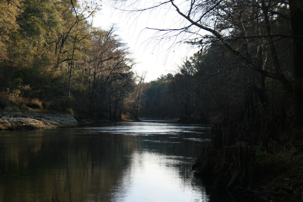 Quitman, MS Chickasawhay River photo, picture, image (Mississippi) at