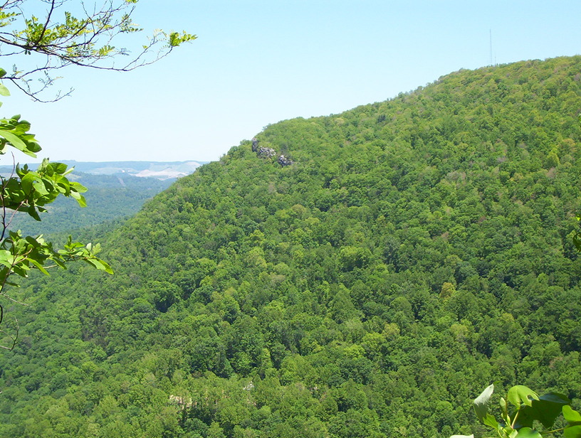 Jenkins, KY: Jenkins KY, View Of Raven Rock From Elva Knob