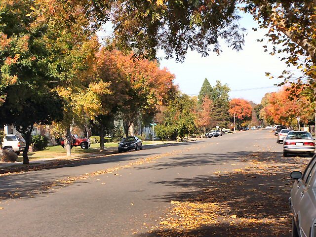 Stockton, CA: My neighborhood in the fall