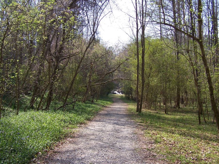 Palmetto, GA: Trails at Cochran Mill Nature Center in Palmetto, Georgia