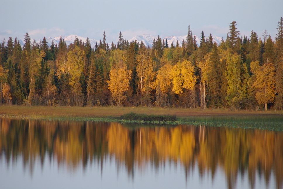 Nikiski, AK A fall day in Nikiski, 2008 photo, picture, image (Alaska