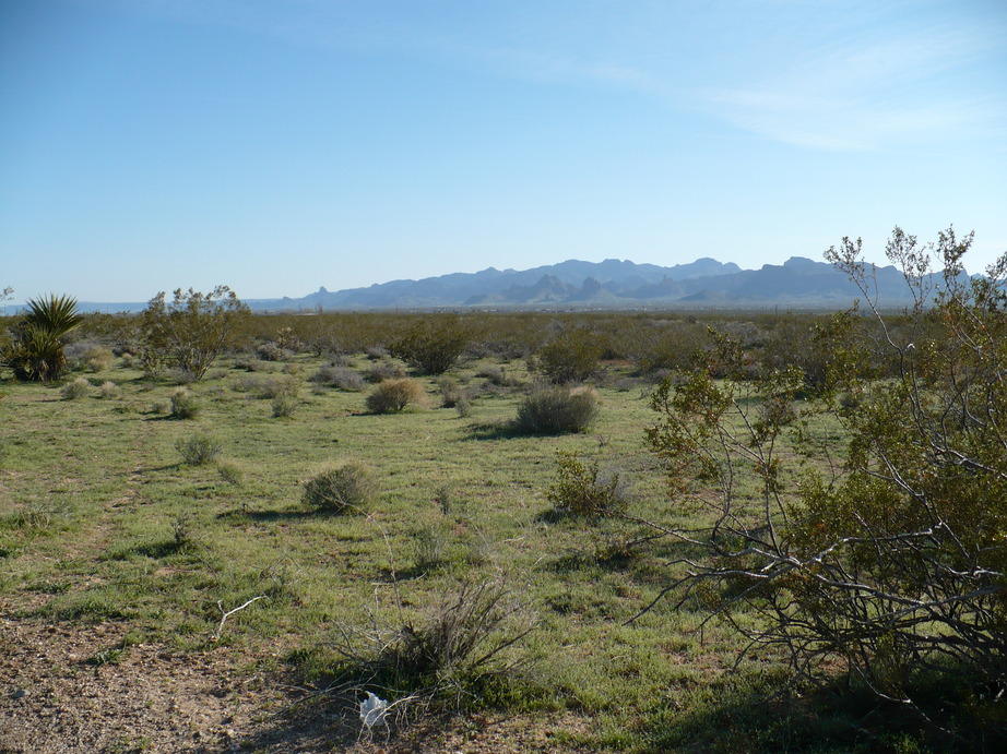 Golden Valley, AZ: Looking out from Crystal Springs Subdivision tothe North