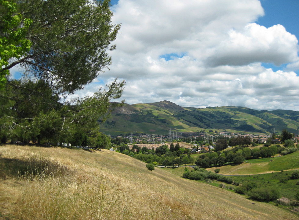 Fremont, CA: West side of Paseo Padre Parkway, looking toward the Mission area hills