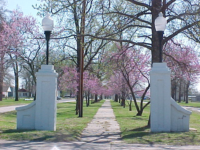 Rich Hill, MO: Redbuds in Spring at the Park Avenue walkway