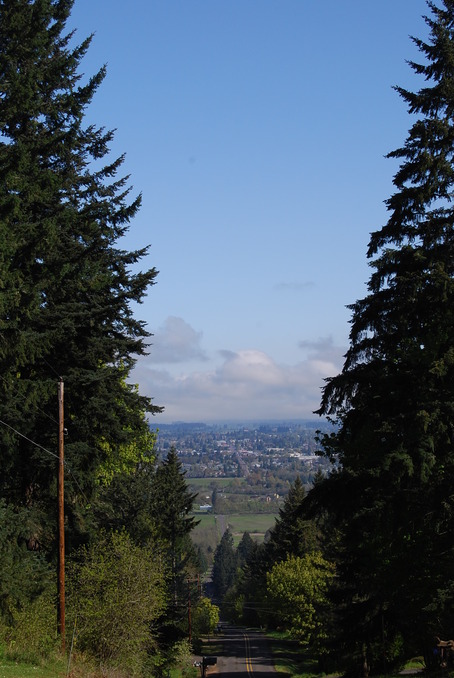 Lebanon, OR: From the top of Ty valley Rd. looking at Lebanon