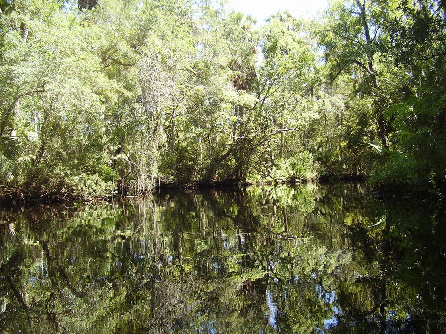 New Port Richey, FL: Francis Park 082509 canoe ride to Gray Park