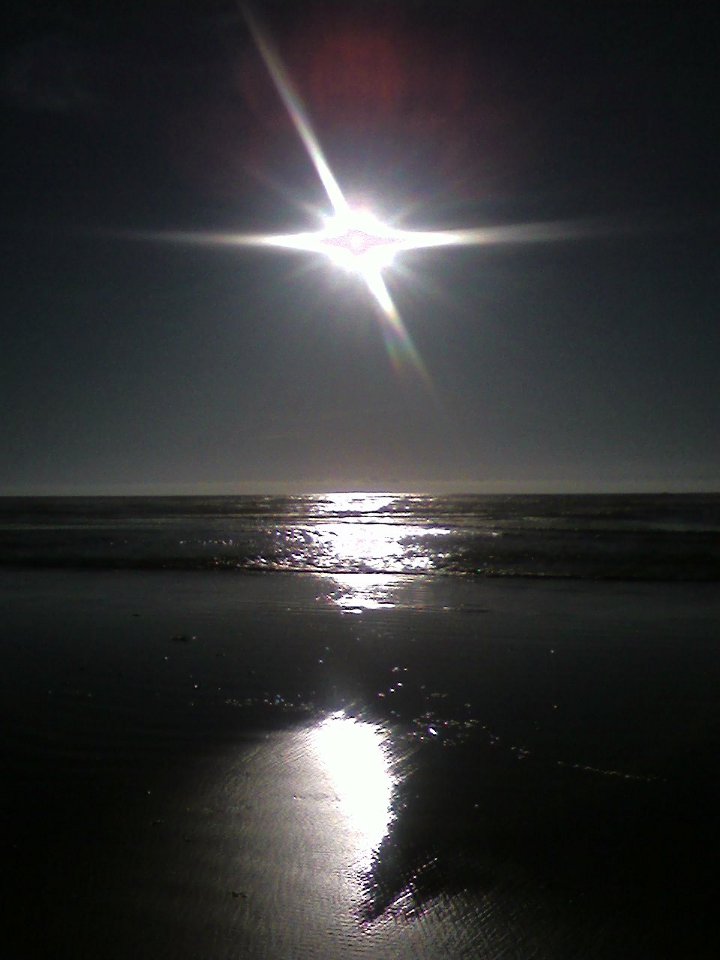 Newport, OR: BEACH SUN