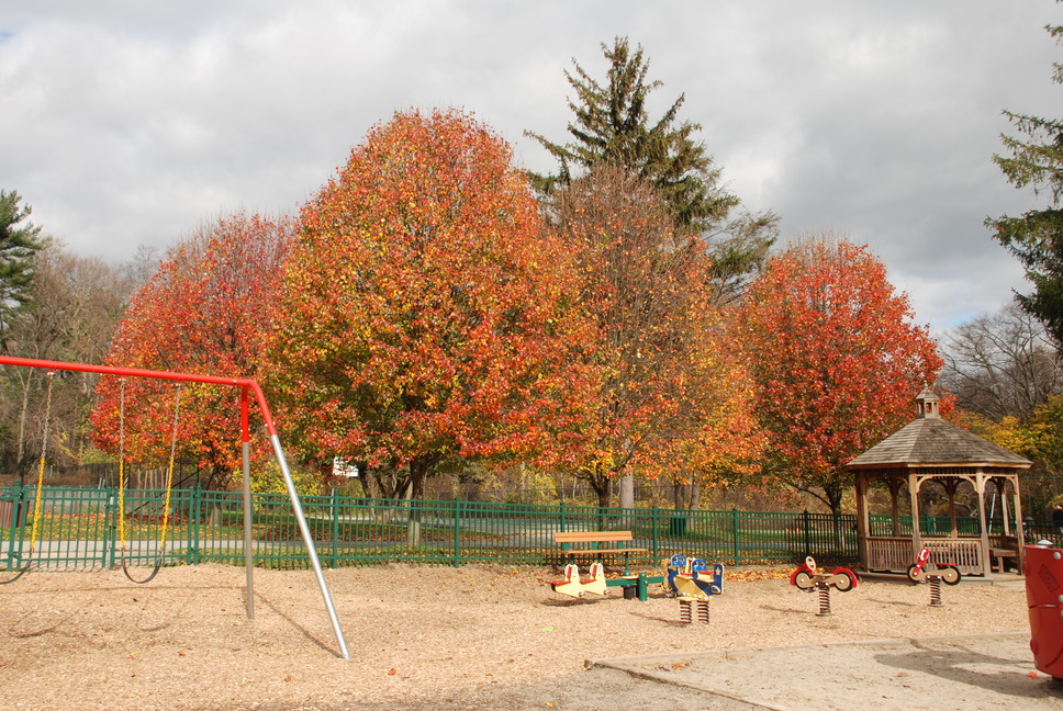 Darien, CT: Cherry Lawn Park in the Fall