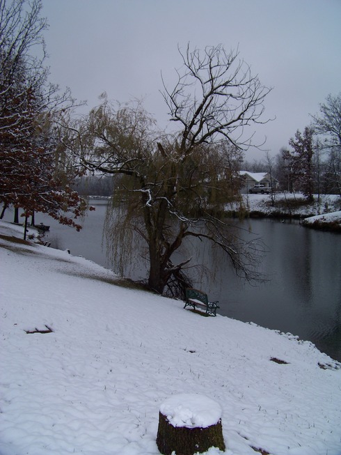 Brighton, IL: View across Briarwood Lake Winter 2008