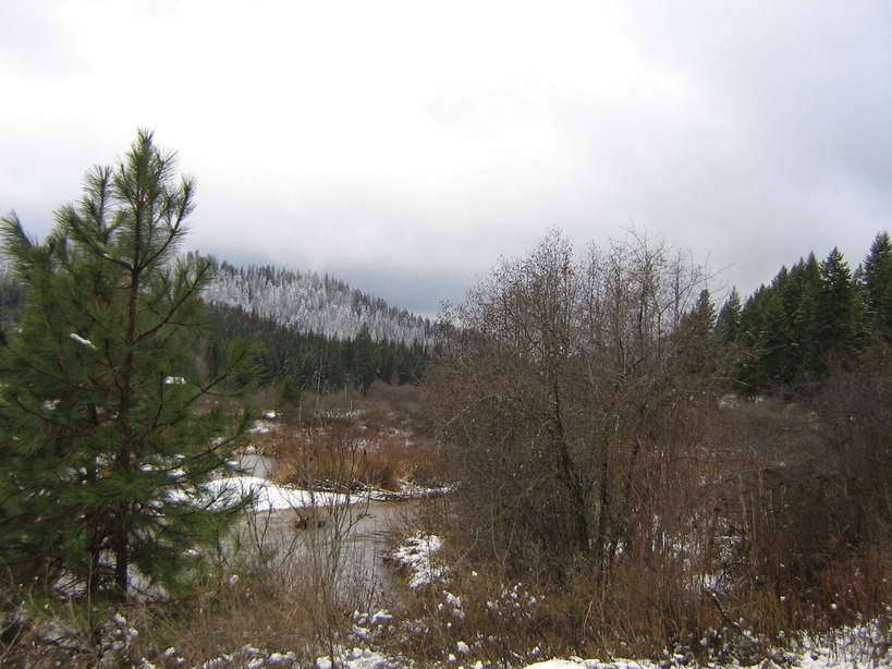 Priest River, ID: East River Loop Rd first snow