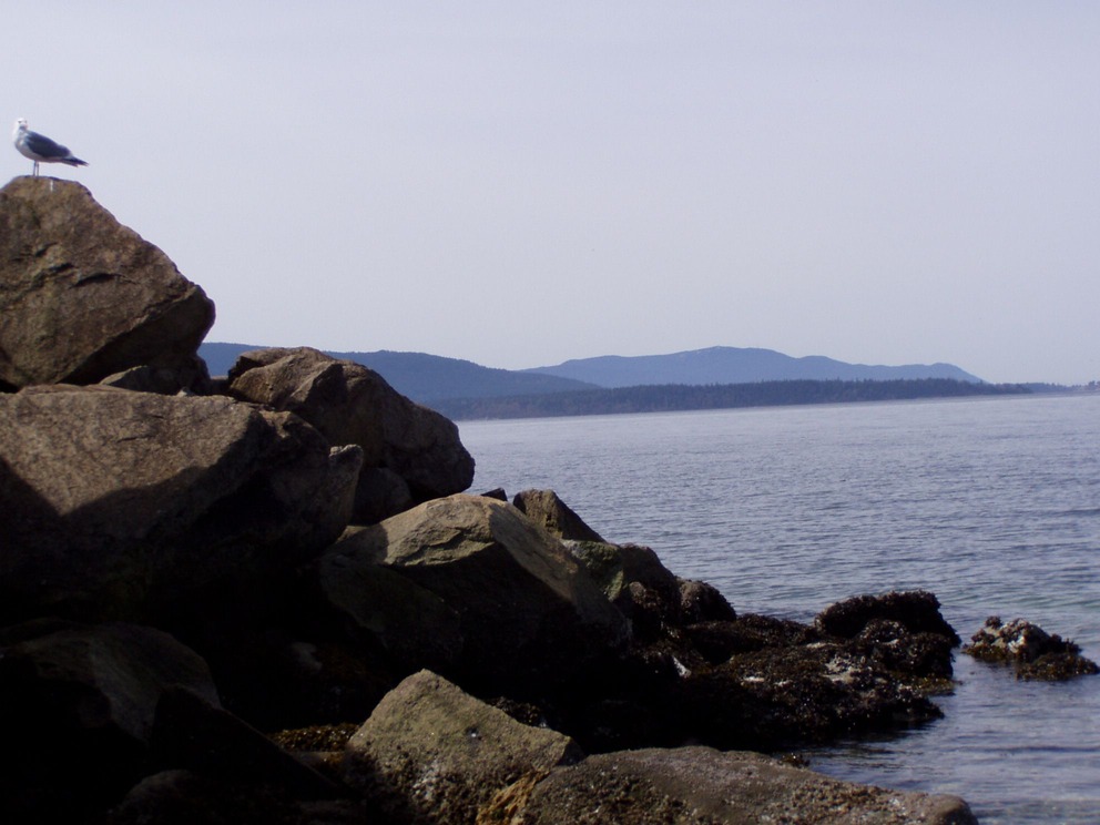 Bellingham, WA: The Bay from little Squalicum beach