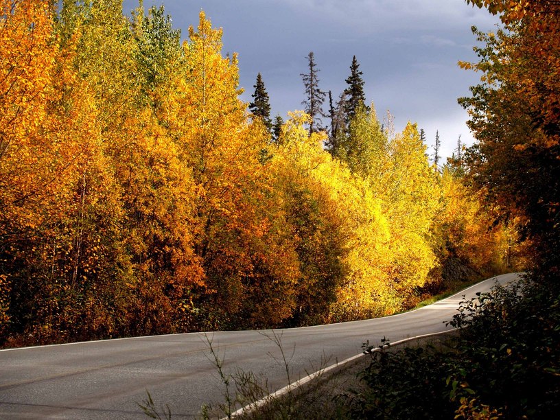 Palmer, AK: Road to Palmer in the Fall