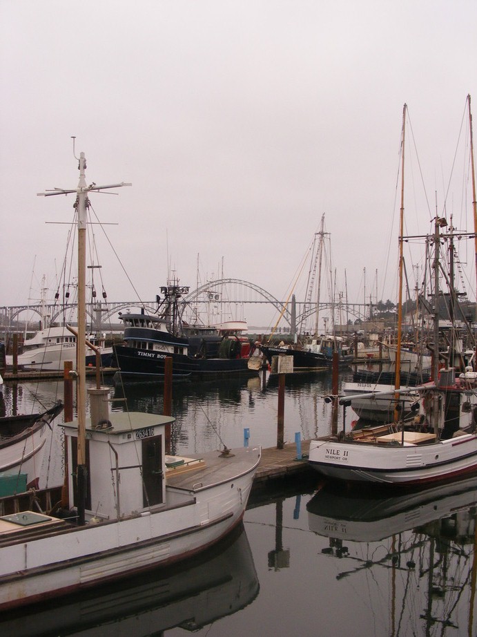 Newport, OR: Newport Bayfront ships