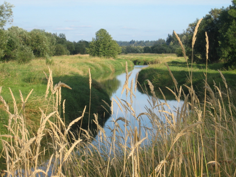 Vancouver, WA: Three Creeks