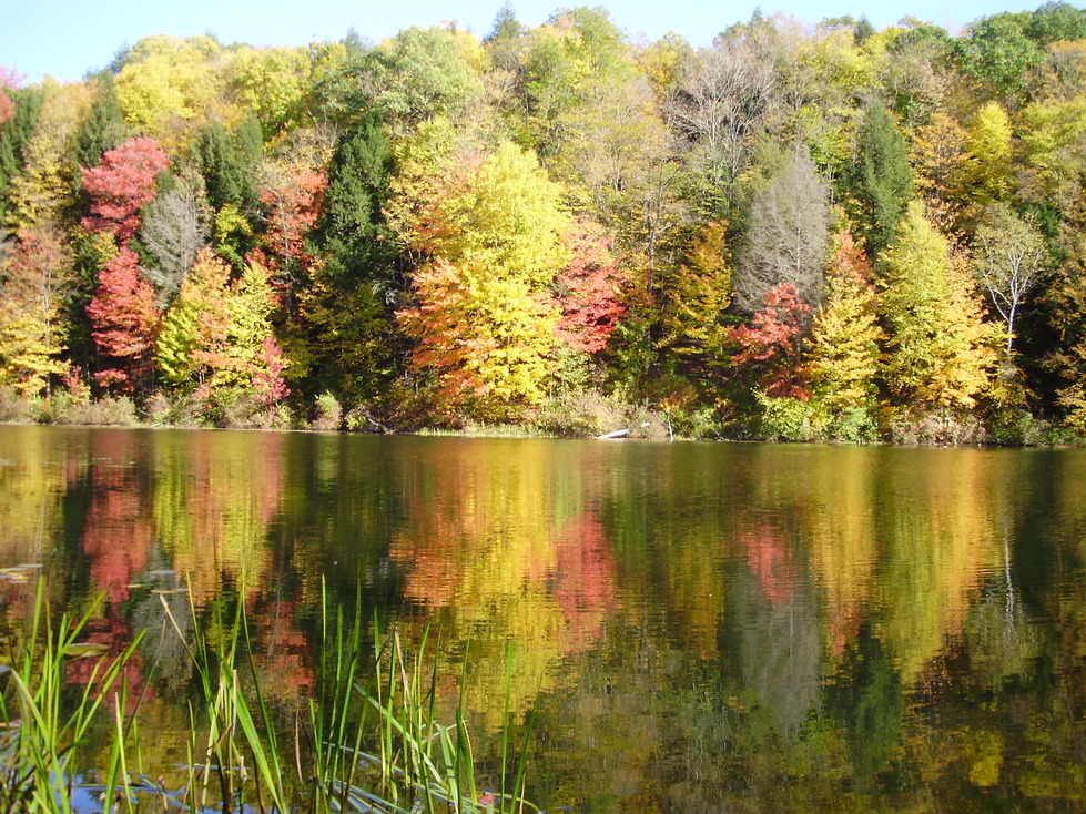Guilford, VT: Weatherhead Hollow Pond