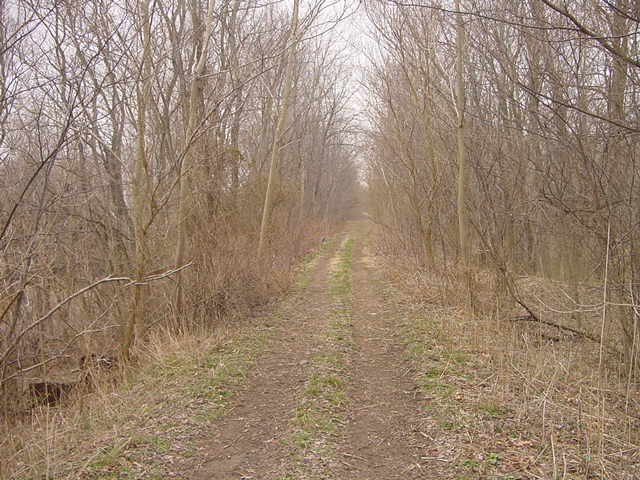 Covington, IN: Looking down where the railroad tracks were
