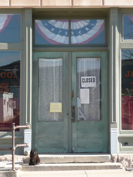 Goldfield, NV: Doorway Cat