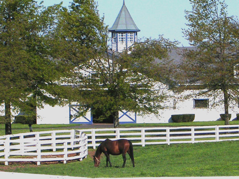 Lexington-Fayette, KY: Horse Farm