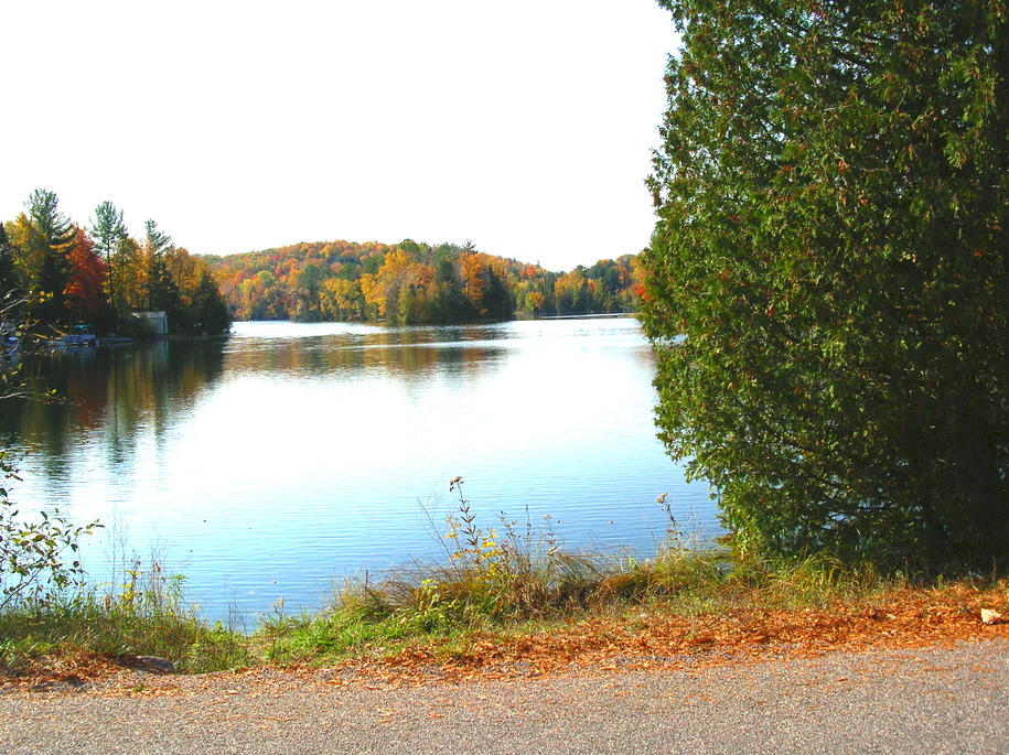 Lakewood, WI: Chain Lake Fall 2008