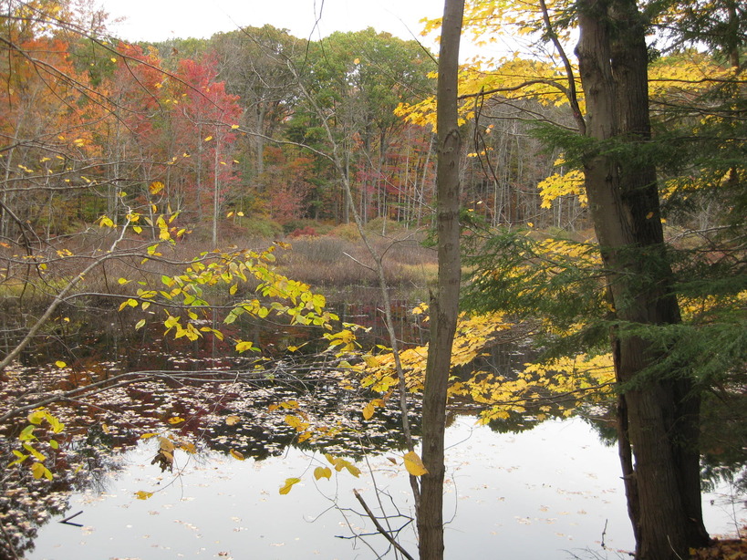 Newton, NH Peanut Trail Reflecting Pond Fall photo, picture