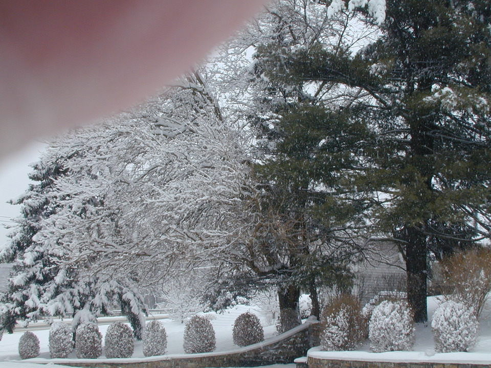 Jersey Shore, PA: Beautiful Snow scene on South Rt. 44 Highway, Jersey Shore, PA