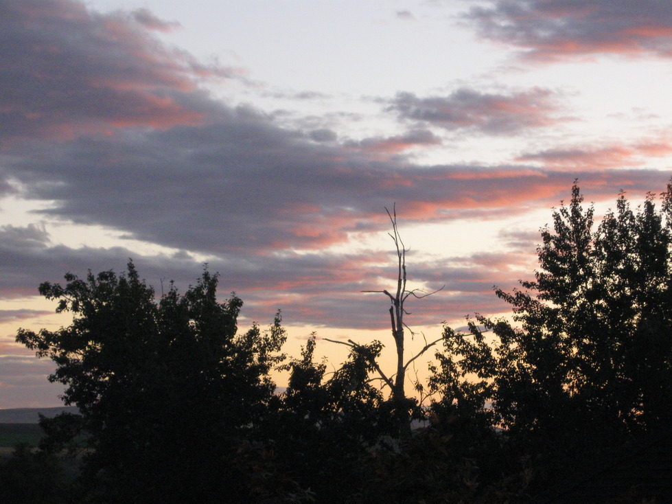 Echo, OR sunset in Echo photo, picture, image (Oregon) at