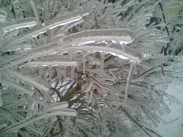 Chariton, IA: Ice storm in Constitution Park