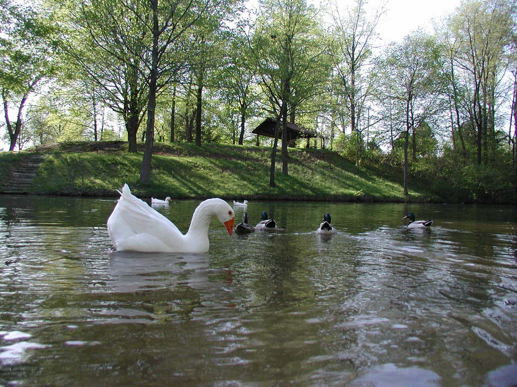 Collinsville, IL: Collinsville Park