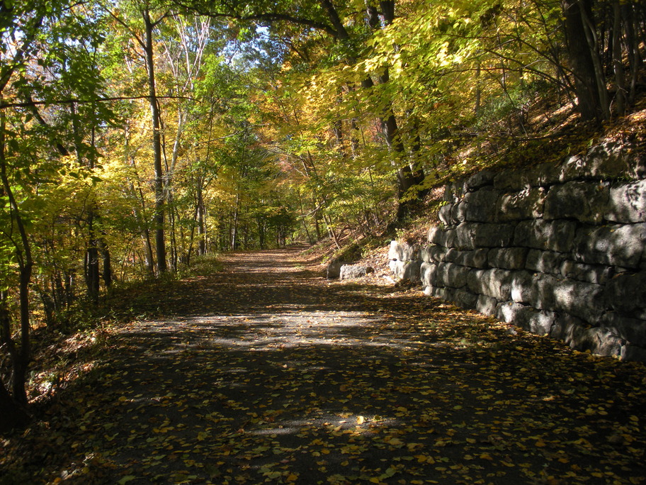 Back Mountain, PA: Back Mountain Trail