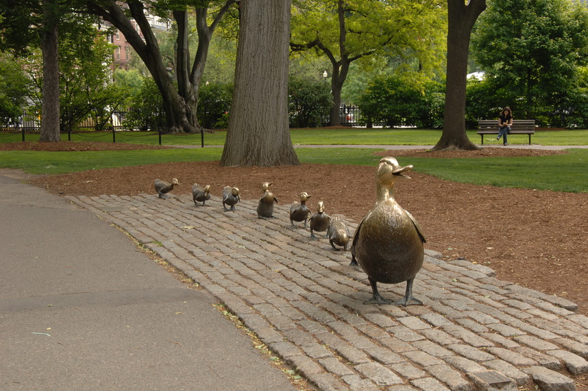 Boston, MA: Make Way For Ducks in Boston Commons