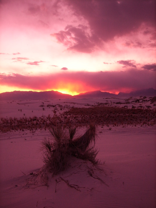 White Sands, NM: whitesands sunset