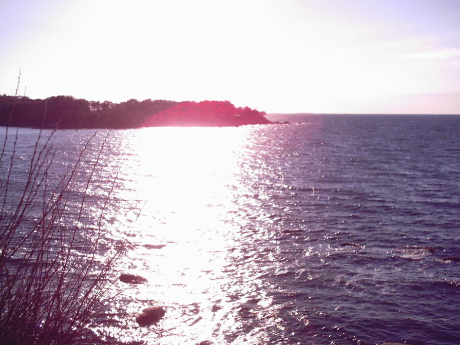 Woods Hole, MA: a beach off of woods hole with the sun on the water