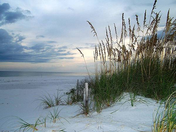 Orange Beach, AL: evening on the dunes (no retouching or enhancing was done, the only editing on this pic was resizing down for Internet use)